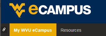 eCampus is so PDF friendly, and yet some of us still have to download Word files to read our syllabi.